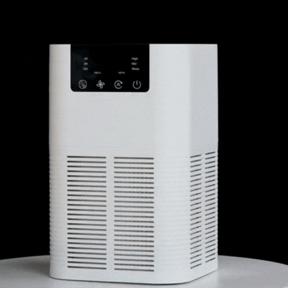 Royallure Air Purifier with HEPA Filter, Negative Ion Generator for Smoke & Odor Removal, Home & Office Use
