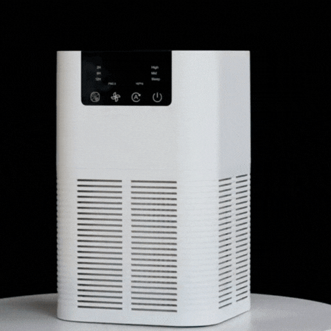 Royallure Air Purifier with HEPA Filter, Negative Ion Generator for Smoke & Odor Removal, Home & Office Use