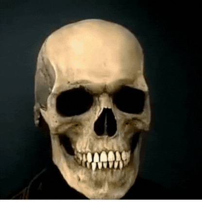 RoyaleGlow Movable Jaw Realistic Full Head Skull Mask - Human Skeleton Mask for Halloween Party