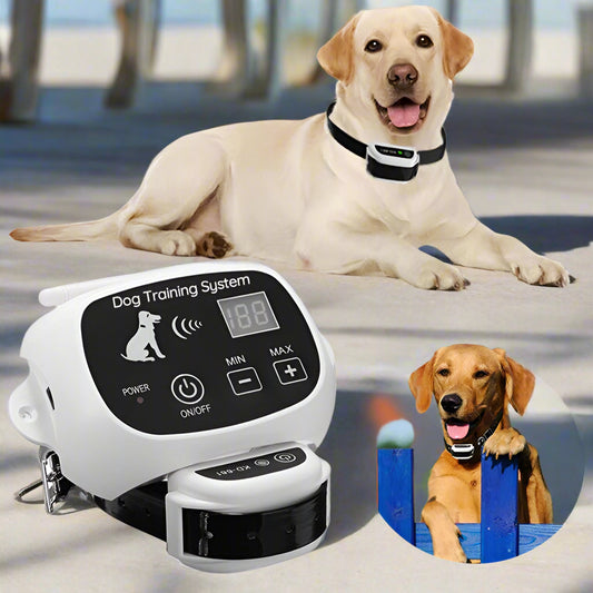 Royaleva Wireless Dog Fence With Collar for All Sizes
