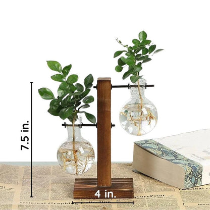 Luxora Wooden Frame Hydroponic Plant Vase for Home Decor