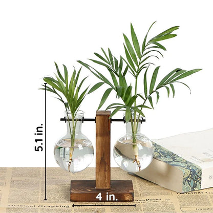 Luxora Wooden Frame Hydroponic Plant Vase for Home Decor