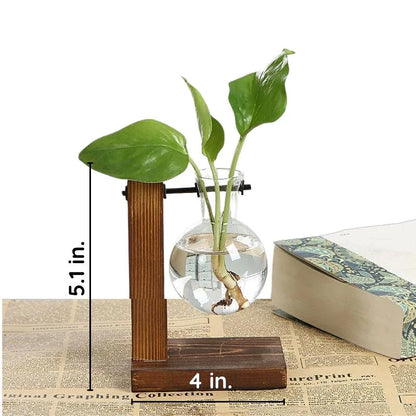 Luxora Wooden Frame Hydroponic Plant Vase for Home Decor