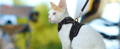 Luxora Escape Proof Cat Harness with Leash for Safe Adventures