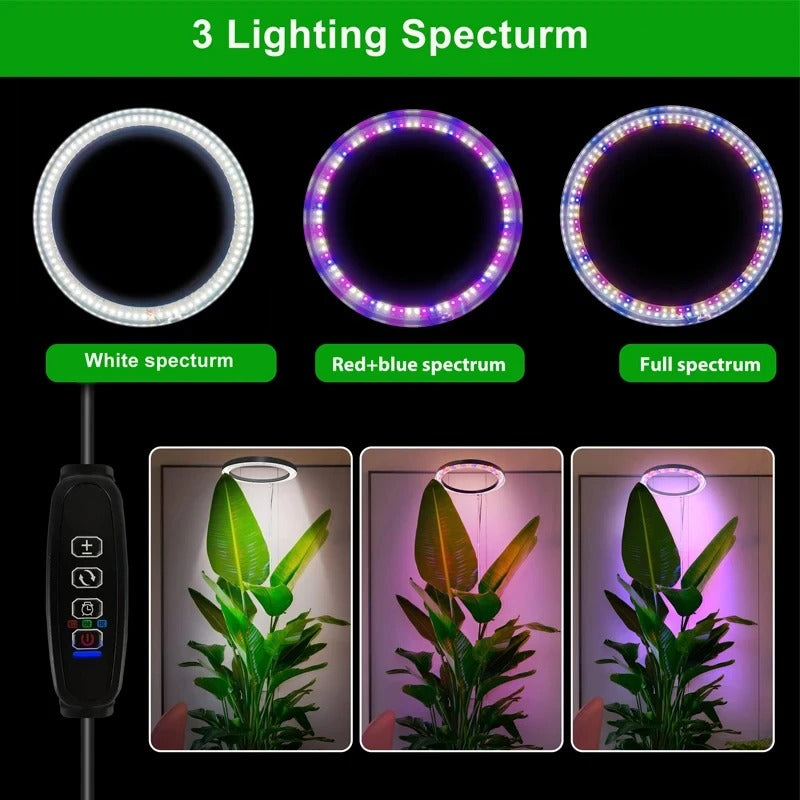 RoyaleGlow Grow Light For Indoor Plants Adjustable & Energy Efficient