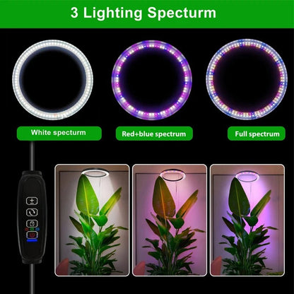 RoyaleGlow Grow Light For Indoor Plants Adjustable & Energy Efficient