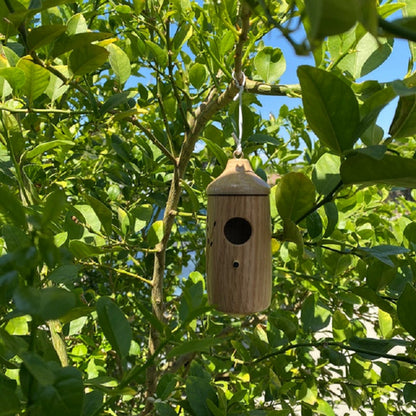 Luxora Wooden Hummingbird House - Gift for Natural Lovers