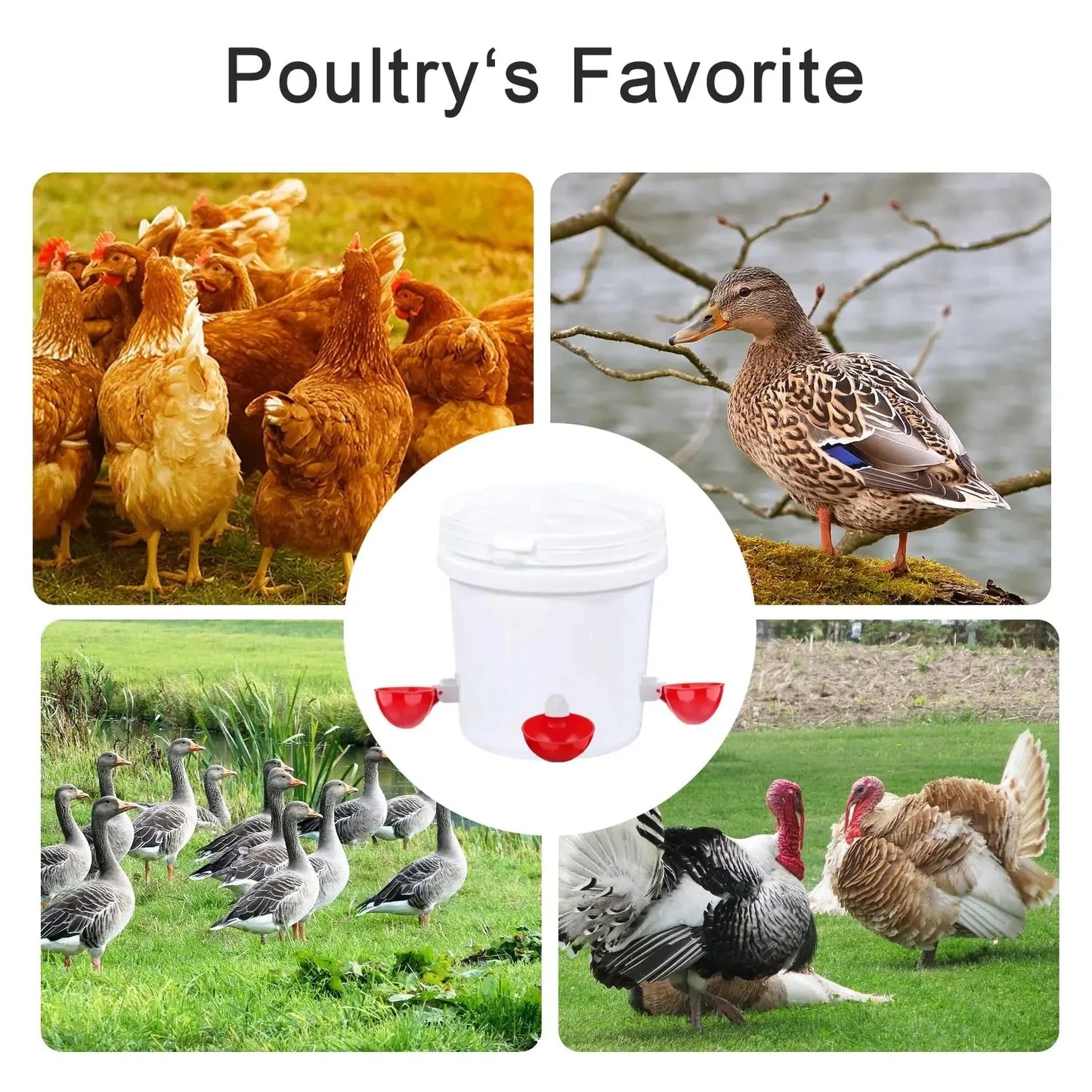 Luxora 10 Pcs Chicken Waterer Automatic Refill System