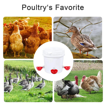 Luxora 10 Pcs Chicken Waterer Automatic Refill System