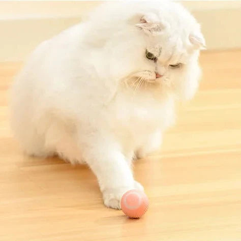 RoyaleGlow 2 in 1 Simulated Interactive Hunting Cat Toy