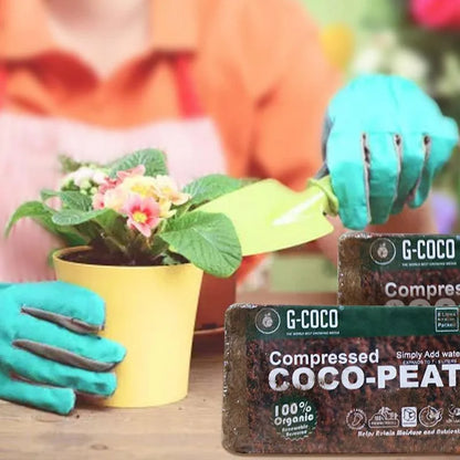 Rayvia Organic Coconut Coir – Nutrient-Rich Soil Amendment for Thriving Gardens & Healthy Plants