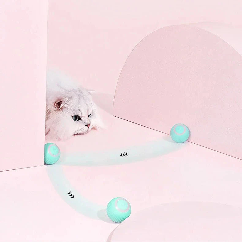 RoyaleGlow 2 in 1 Simulated Interactive Hunting Cat Toy