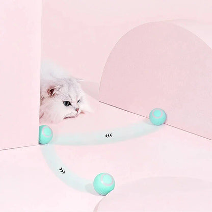 RoyaleGlow 2 in 1 Simulated Interactive Hunting Cat Toy