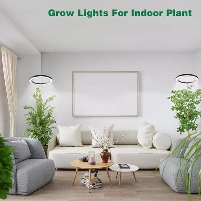 RoyaleGlow Grow Light For Indoor Plants Adjustable & Energy Efficient