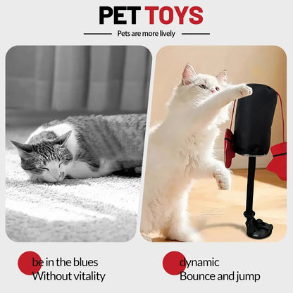 Royaleva Interactive Cat Toys with Spring-Loaded Action