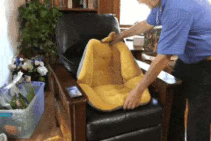 Luxora Coccyx And Sciatica Pain Relief Cushion Seat
