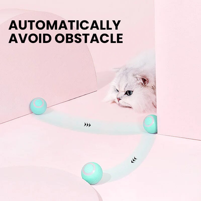 RoyaleGlow 2 in 1 Simulated Interactive Hunting Cat Toy