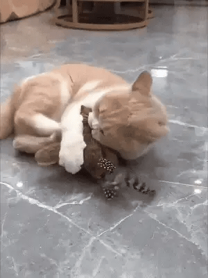 LuxRoyale Interactive Flapping Bird Cat Toy for Cats