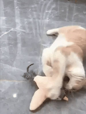 LuxRoyale Interactive Flapping Bird Cat Toy for Cats
