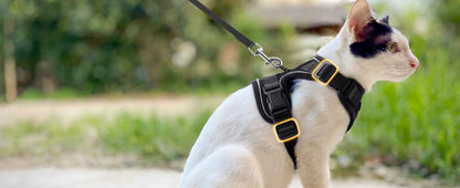 Luxora Escape Proof Cat Harness with Leash for Safe Adventures