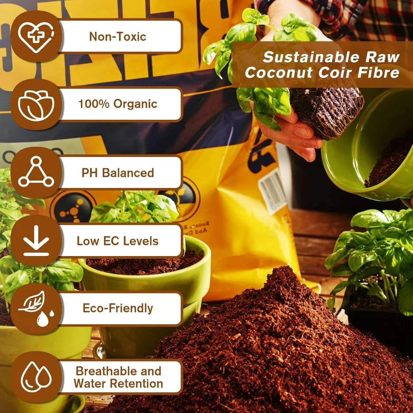 RoyaleGlow Coco Coir Bricks - Organic Growing Medium 6 Pack