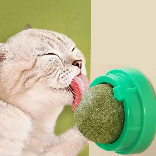 Royaleva 4 Pcs Premium Catnip Ball For Dental Health