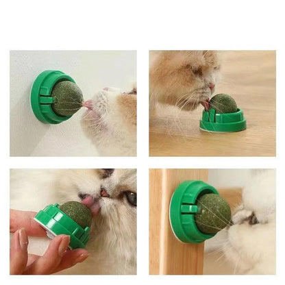 Royaleva 4 Pcs Premium Catnip Ball For Dental Health