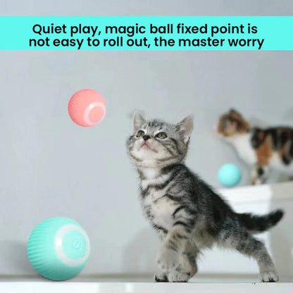 RoyaleGlow 2 in 1 Simulated Interactive Hunting Cat Toy