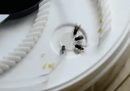 Royaleva The World's Best Electric Silent Fly Trap