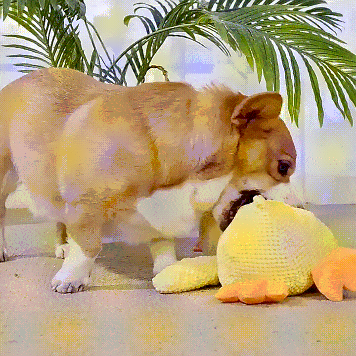 Royaleva Calming Durable Duck Toy for Active Dogs