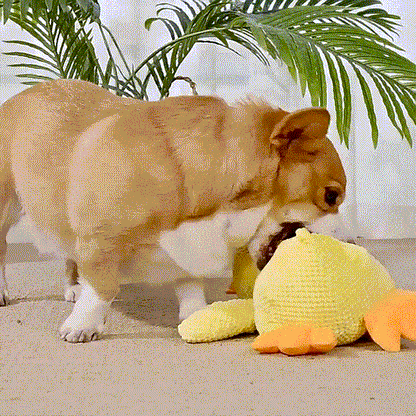 Royaleva Calming Durable Duck Toy for Active Dogs