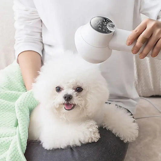 Royaleva 2 in 1 Smart Dog Hair Dryer for Easy Grooming