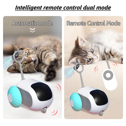 Royaleva Interactive Cat Toys with Remote Control Fun
