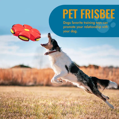 Luxora Flying Saucer Ball Dog Toy with Flashing Light