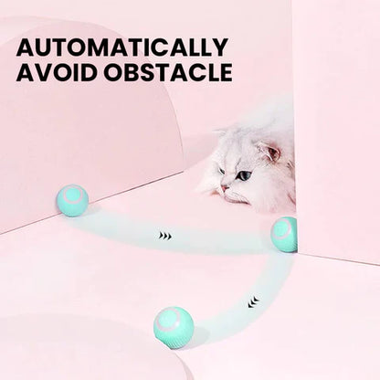 RoyaleGlow 2 in 1 Simulated Interactive Hunting Cat Toy