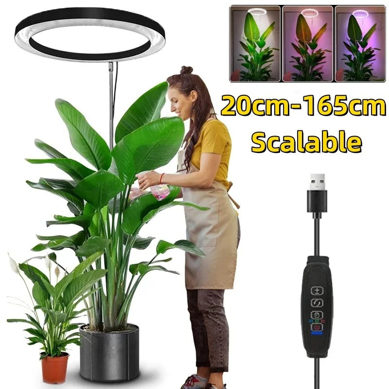 RoyaleGlow Grow Light For Indoor Plants Adjustable & Energy Efficient