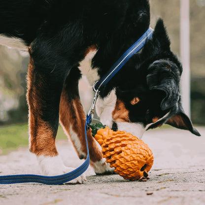 Pawellure Indestructible Pineapple Dog Chew Toy – Durable Treat Dispenser for Aggressive Chewers