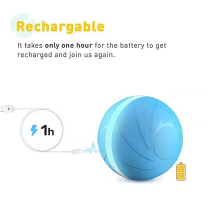 Royaleva Magic Ball Pet Motion Toy for Dogs and Cats