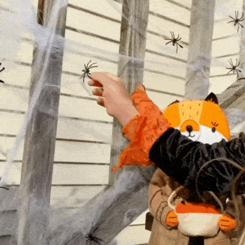 Rayvia Halloween Spider Web Decoration Outdoor Haunted House Bar Scene Party Props