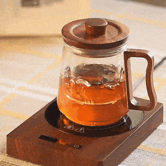 Cup Heater Mug Warmer – 5-Temperature Adjustable Coffee & Tea Warmer with Auto Shut-Off for Home & Office