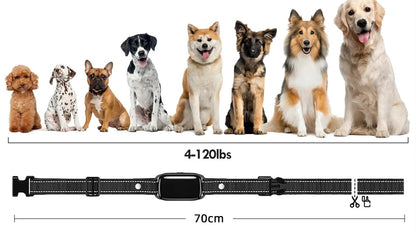 Royallure Rechargeable Waterproof Dog Training Collar - Shock E Collar with Remote Control