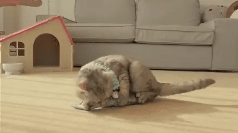 RoyaleGlow USB Floppy Fish Toy for Cats and Dogs