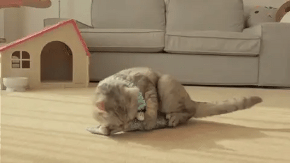 RoyaleGlow USB Floppy Fish Toy for Cats and Dogs
