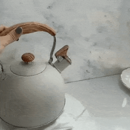 Royallure 85 oz Stainless Steel Whistling Tea Kettle for Induction Cooktops