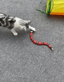 LuxRoyale Smart Sensor Interactive Snake Toy For Cats