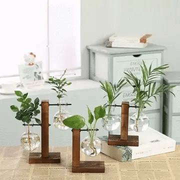 Luxora Wooden Frame Hydroponic Plant Vase for Home Decor