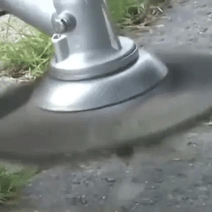 Royaleva Weeding Brush Head For Brushcutter 150mm Steel