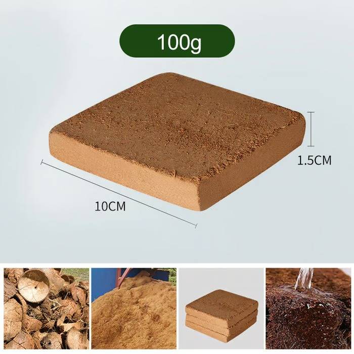 RoyaleGlow Coco Coir Bricks - Organic Growing Medium 6 Pack
