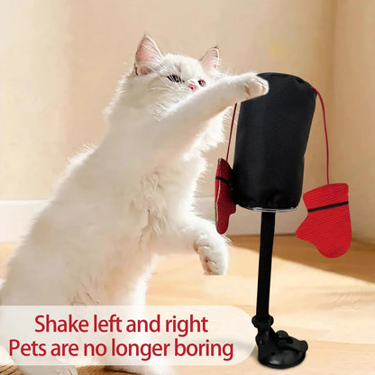 Royaleva Interactive Cat Toys with Spring-Loaded Action