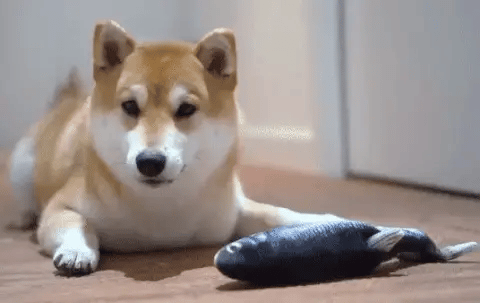 RoyaleGlow USB Floppy Fish Toy for Cats and Dogs